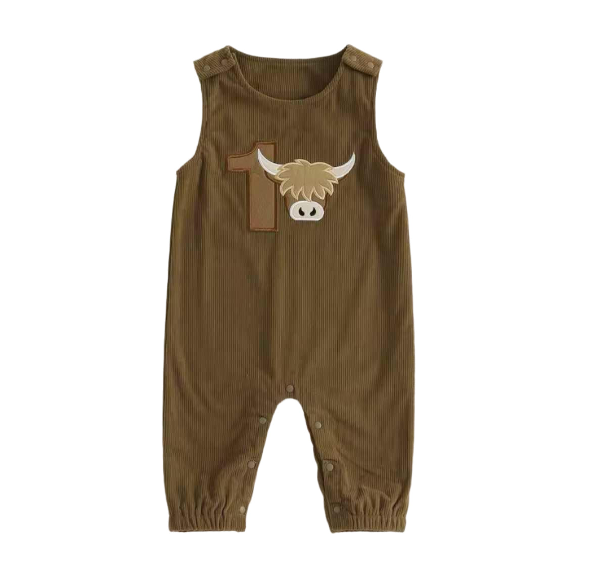 1st Birthday Boy Sleeveless Corduroy Rompers