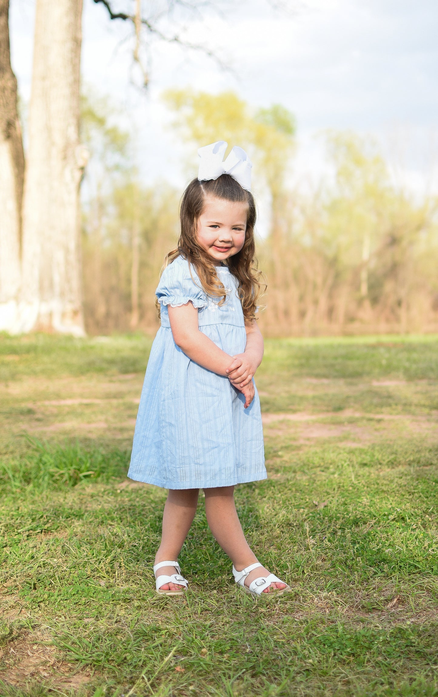 Timeless Grace Puff Sleeve Dress