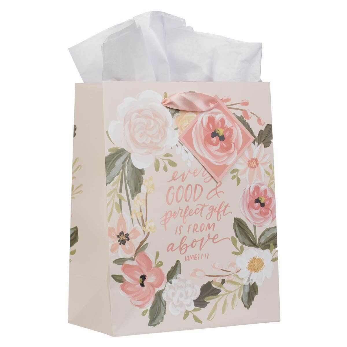 Gift Bag MD Every Good & Perfect Gift James 1:17