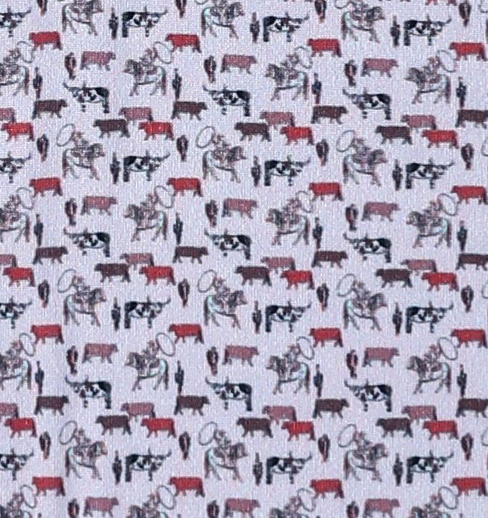 Ropin' Boy Collar Shirt (9/10)