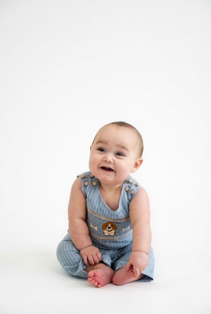 Light Blue Puppy Smocked Overalls