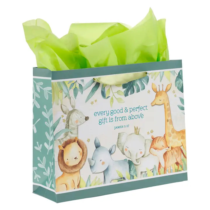 Gift Bag w/ Card Lg Landscape Perfect Gift James 1:17