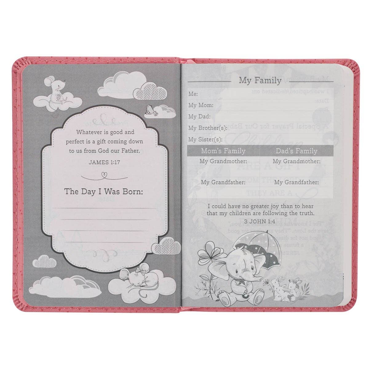 Bible NLT Infant New Testament Faux leather, Pink