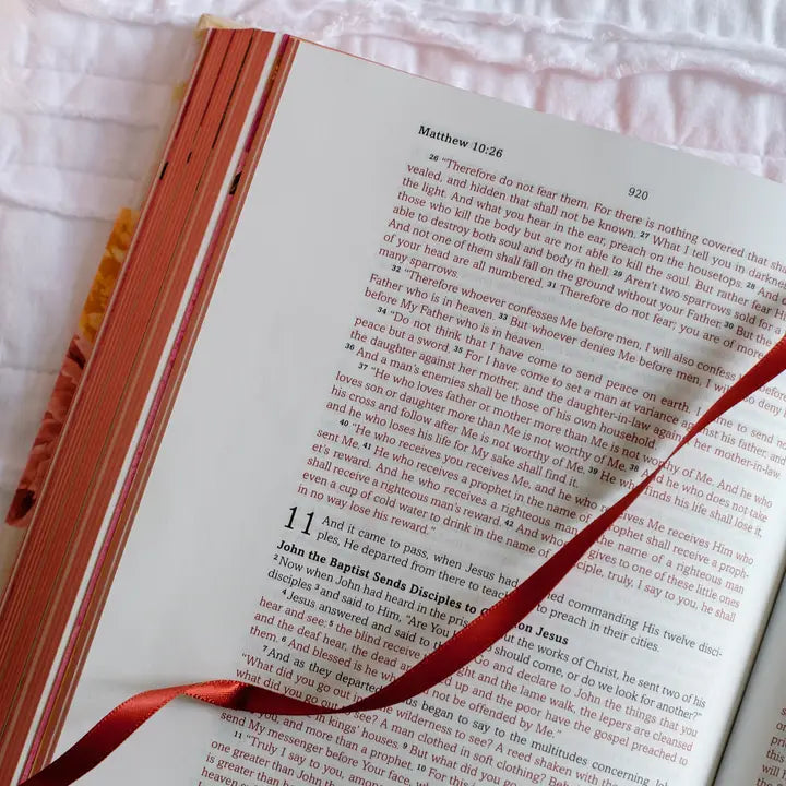 My Bible Skjv For Girls [Floral Giraffe]