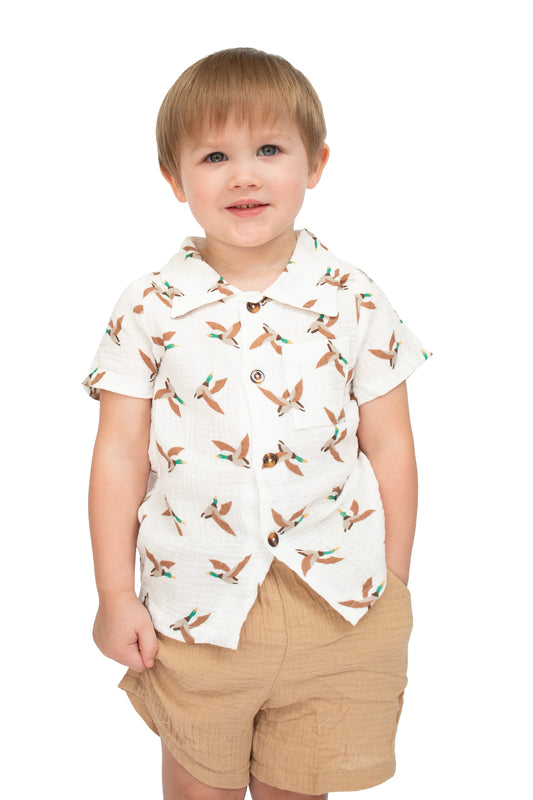 Flying High Button Set