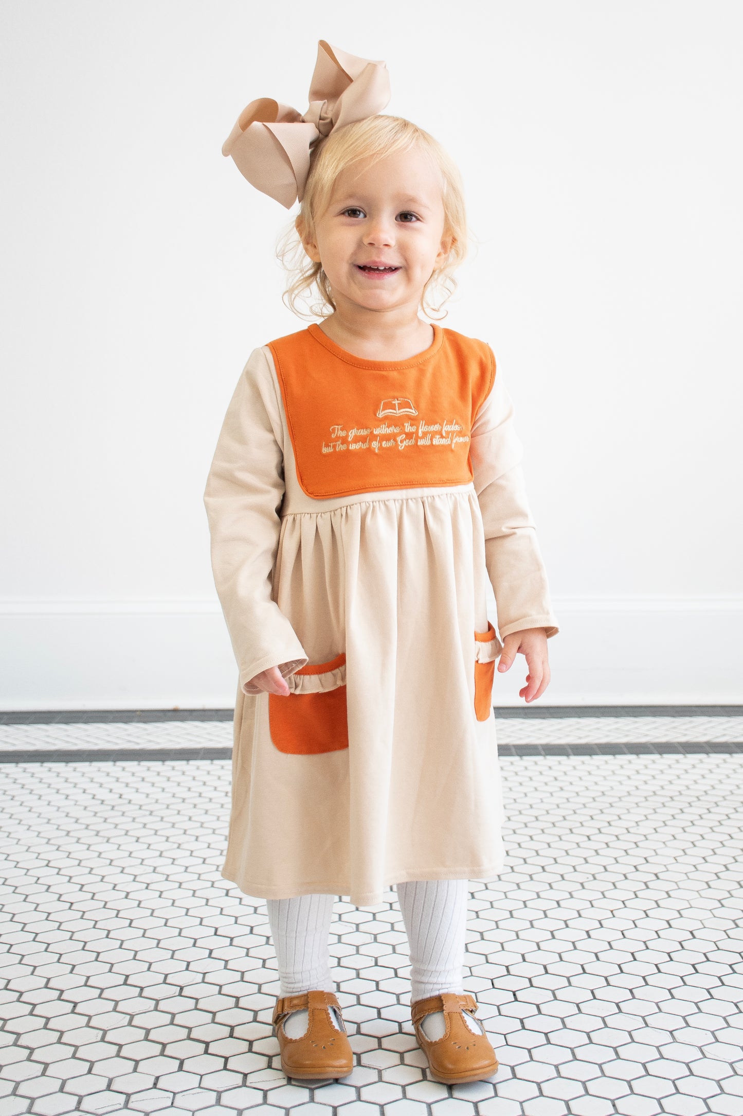 Rust Isaiah Embroidery Dress