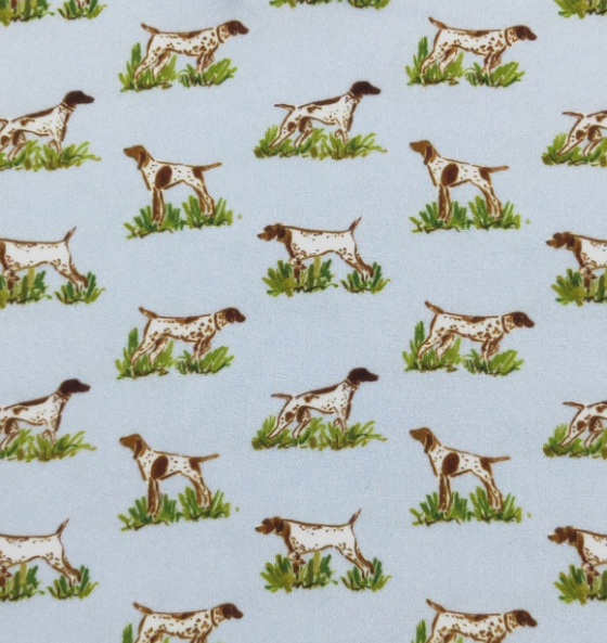 Pointer Hunt Boy Collar Shirt
