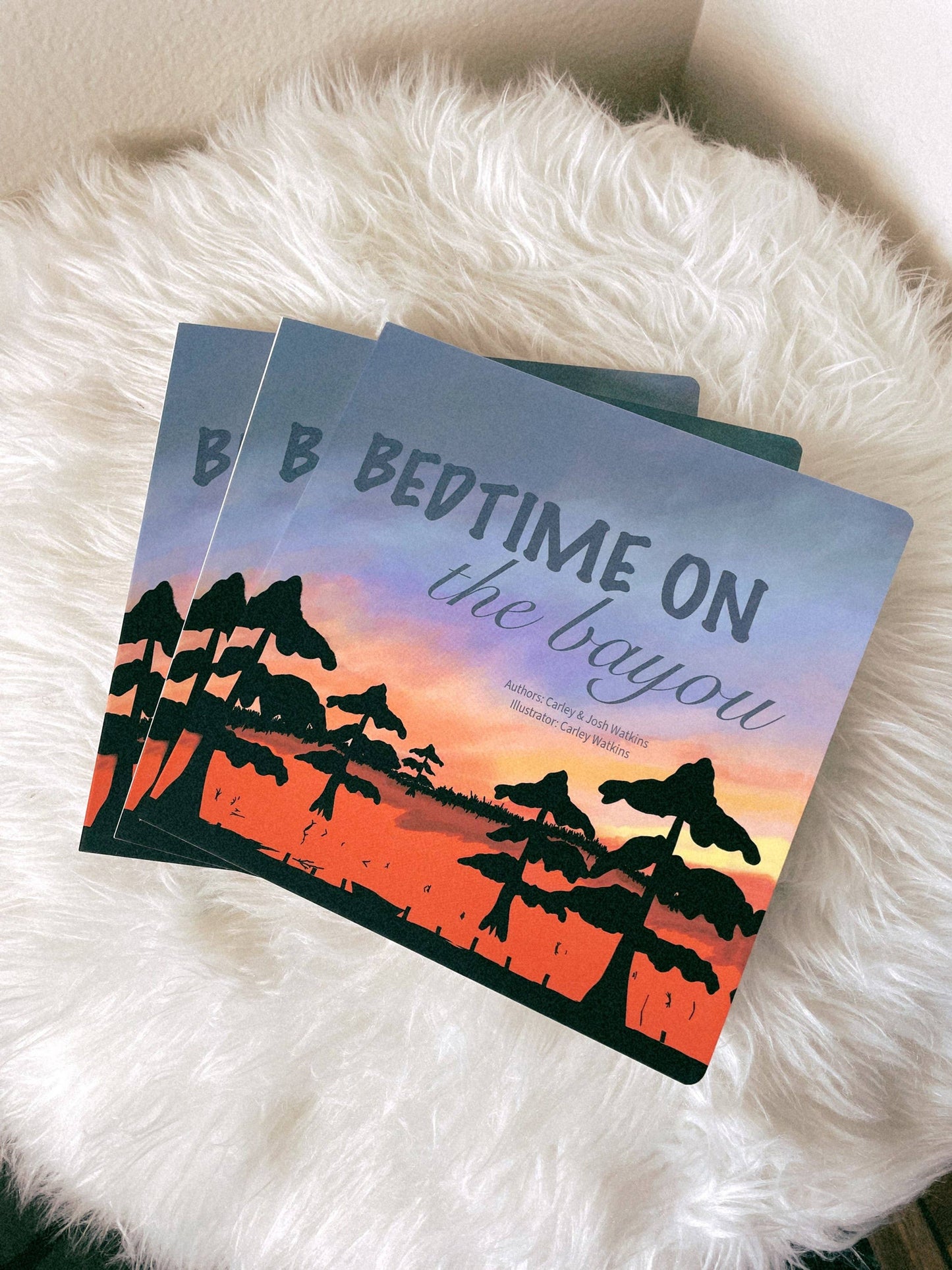 BEDTIME ON THE BAYOU BOOK
